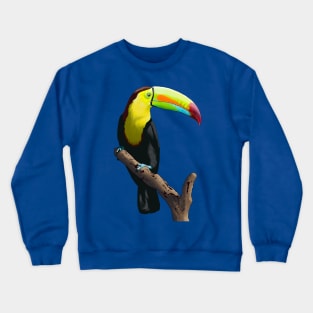 Keel Billed Toucan Crewneck Sweatshirt